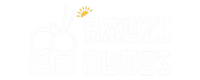 Baozi Momos Footer Logo